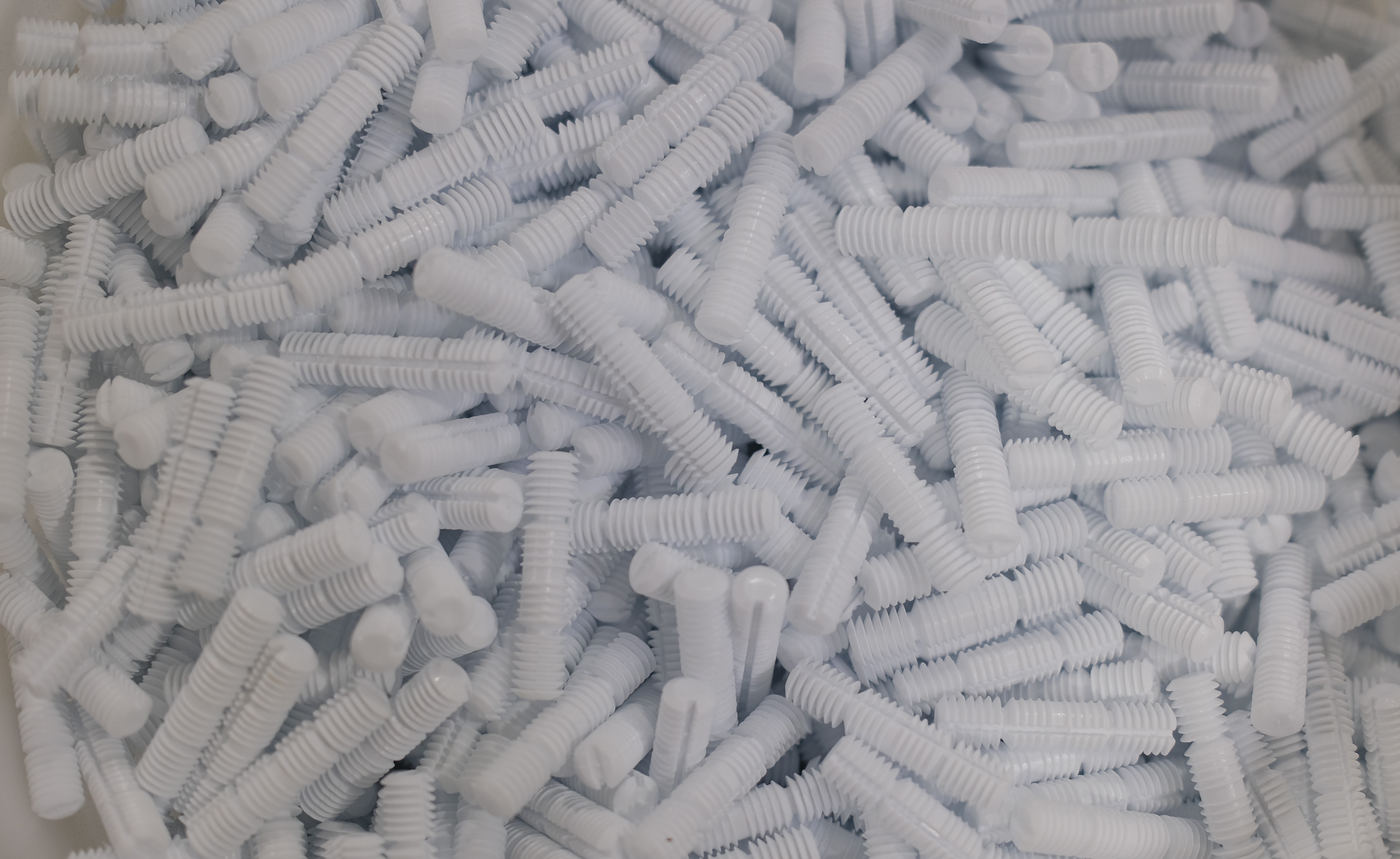 Force Dowels group photo